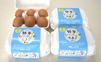 平飼卵（弥平＆ファイトリッチ）24個　頒布コース(6か月） 湖南市野菜で育った鶏の栄養豊富な卵 