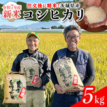 【令和7年】茨城県産 コシヒカリ 5kg 令和7年産 新米 単一原料米 精米 米 お米 コメ 白米 こしひかり 茨城県 [BC084sa]