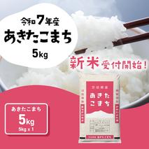 【8月下旬発送】新米 あきたこまち 5kg (5kgx1袋) 令和6年産 茨城県産 こしひかり 白米 精米 茨城県 八千代町 お米 米 [SF287yai]