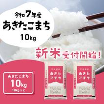 【8月下旬発送】新米 あきたこまち 10kg (5kgx2袋) 令和6年産 茨城県産 こしひかり 白米 精米 茨城県 八千代町 お米 米 [SF288yai]