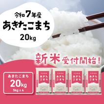 【8月下旬発送】新米 あきたこまち 20kg (5kgx4袋) 令和6年産 茨城県産 こしひかり 白米 精米 茨城県 八千代町 お米 米 [SF289yai]