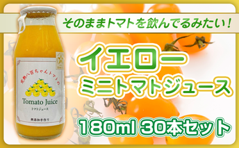 【高級旅館でも使用！】イエローミニトマトのトマトジュース 180ml 30本セット｜国産 姫路産 八百ちゃんトマト 100%ストレート