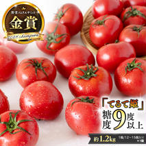 《 テレビで紹介 》 糖度9度以上 スーパーフルーツトマト てるて姫 中箱 約1.2kg × 1箱 【12〜15玉/1箱】 2026年収穫分 先行予約 フルーツトマト ブランドトマト 野菜 ギフト 贈答 青空レストラン アド街ック天国 グッドモーニング 黄金のワンスプーン[BC033sa]