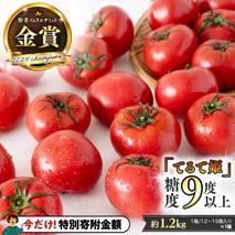 【9/30まで早期予約 特別寄附金額】 《 テレビで紹介 》 糖度9度以上 スーパーフルーツトマト てるて姫 中箱 約1.2kg × 1箱 【12〜15玉/1箱】 2026年収穫分 先行予約 フルーツトマト ブランドトマト 野菜 ギフト 贈答 青空レストラン アド街ック天国 グッドモーニング 黄金のワンスプーン[BC033sa]
