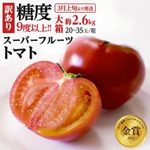 訳あり 糖度9度以上 スーパーフルーツトマト 大箱 約2.6kg × 1箱 (20～35玉/1箱)  2026年収穫分 先行予約 フルーツトマト ブランドトマト 野菜 ギフト 贈答 [BC038sa]
