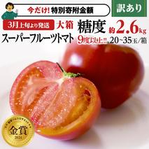 【9/30まで早期予約 特別寄附金額】 訳あり 糖度9度以上 スーパーフルーツトマト 大箱 約2.6kg × 1箱 (20～35玉/1箱)  2026年収穫分 先行予約 フルーツトマト ブランドトマト 野菜 ギフト 贈答 [BC038sa]
