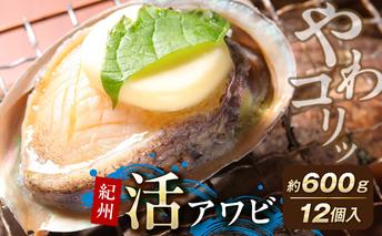 YG1004_やわコリ食感紀州活アワビ【12個入】 約600g