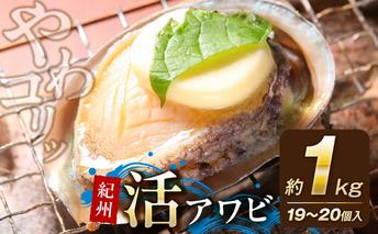 YG1005_やわコリ食感紀州活アワビ【19～20個入】 約1000g