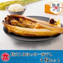 15-341 【敬老ギフト】脂の乗った特大しまほっけの一夜干し4枚セット