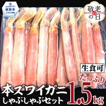 39-27 【敬老ギフト】【厳選部位のみ】本ズワイガニしゃぶしゃぶ【大】(たっぷり1.5kg)｜ 生食可 お刺身