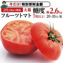 【9/30まで早期予約 特別寄附金額】《 2026年収穫分 先行予約 》 糖度7度以上 フルーツトマト 大箱 約2.6kg × 1箱 (20～35玉/1箱) ブランドトマト 野菜 ギフト 贈答 [BC018sa]