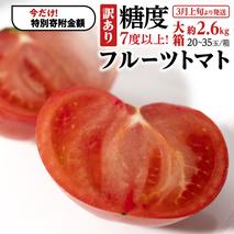 【9/30まで早期予約 特別寄附金額】【訳あり】 糖度7度以上！フルーツトマト 大箱 約2.6kg × 1箱 （20～35玉/1箱） 2026年3月から発送開始 トマト とまと ブランドトマト 野菜[BC040sa]