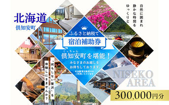 北海道 倶知安町 宿泊 利用 クーポン 【30万円分】 チケット 旅行 ホテル 旅行 ニセコ パークハイアット ニセコ HANAZONO Panorama Niseko 他 リゾート 券 宿泊券