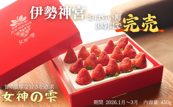 【伊勢神宮おはらい町で3時間で完売】グルメ家が「今までで1番旨い」とうなったイチゴ【女神の雫】 2026年1月 2月 3月 4月 450g 岐阜県 美濃市 じゅん農産 2 苺