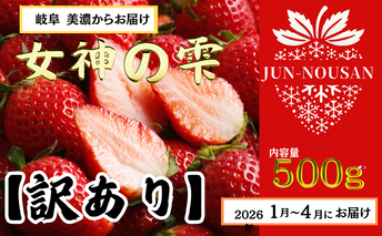 【訳あり】「今までで1番うまい」とグルメ家がうなったイチゴ【女神の雫】 2026年1月 2月 3月 4月 450g 岐阜県 美濃市 じゅん農産 訳アリ 苺
