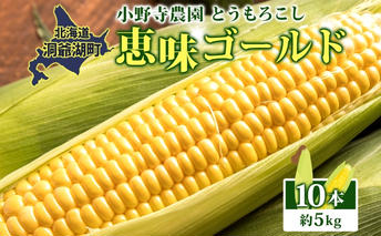 北海道 とうもろこし 恵味ゴールド 約5kg 10本入り 2026年8月11日～8月末頃お届け トウモロコシ コーン 甘い 産地直送 BBQ とうきび 国産 人気 バーベキュー お取り寄せ 北海道産 洞爺湖町 小野寺農園