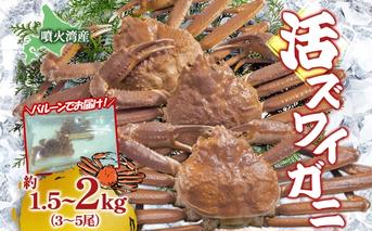 北海道 噴火湾産 活ズワイガニ 約1.5～2kg  （3～5尾） 2025年11月10日まで発送 北海道産 旬 新鮮 ずわいがに ズワイガニ  かに カニ 蟹 カニ味噌 天然 噴火湾 産地直送 お取り寄せ 贈答 冷蔵 洞爺湖町