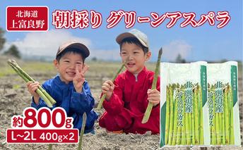 9月限定！【2026年分先行予約】 アスパラガス 専門農家 の 特選 グリーン アスパラ 800g  L～2L 原農園 アスパラ あすぱら 野菜 北海道 上富良野町