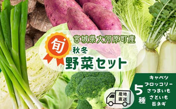 季節の野菜 野菜セットB 5種 キャベツ ブロッコリー さつまいも さといも 長ねぎ 詰合せ 季節 旬 野菜 詰め合せ 国産 産地直送 秋野菜 冬野菜 葉物 冷蔵 野菜室
