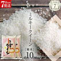 【令和7年産】 ミルキークイーン 精米 10kg（5kg×2袋）（茨城県共通返礼品 かすみがうら市産） 新米 米 ごはん もっちり 甘い コメ お米 白米 銘柄米 [EX015sa]