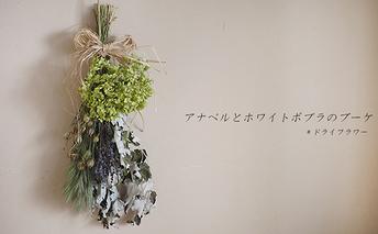 アナベルとホワイトポプラのブーケ【富良野 花七曜 】 植物 ドライフラワー インテリア 