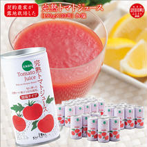 契約農家が露地栽培した完熟トマトジュース〔加塩〕190g×30缶 保存料 無添加 国産 北海道産