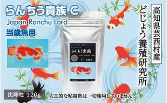 KGC001　らんちう貴族C 120g 当歳魚用