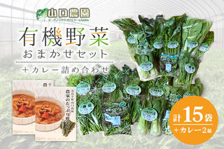 （チルド）山口農園 有機野菜 おまかせセット ＋ カレー２箱 詰合せ / 山口農園 有機野菜 伝統野菜 オーガニック ベジタリアン 定期便 カレー 無農薬 野菜セット 送料無料 無農薬 農家直送 ふるさと納税 詰め合わせ 奈良県 宇陀市 ふるさと納税