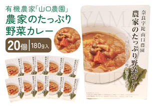 農家のたっぷり野菜カレー ２０個／山口農園 有機野菜 オーガニック 伝統野菜 レトルト 詰め合わせ カレー ギフト カレーセット スパイス 飯 キャンプお取り寄せ 奈良県 宇陀市 送料無料 おかず ご当地 簡単 お歳暮 暑中見舞い 保存 時短 国産 保存食 ふるさと納税