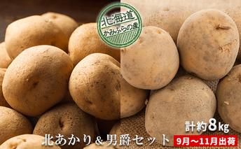 新じゃがいも2種食べ比べセット計約8kg≪北海道上富良野産≫ 野菜 
