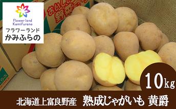 【北海道上富良野町産】蔵出し熟成じゃがいも 黄爵10ｋｇ							
 野菜 ジャガイモ 約10kg 