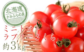 もぎたてミニトマト【ラブリーさくら】3kg≪北海道上富良野産≫ 野菜 とまと 