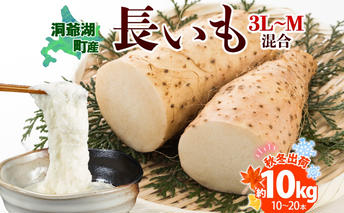 北海道産 長いも 秋冬出荷 約10kg 2024年11月中旬～2025年3月下旬お届け 長芋 ながいも とろろ 農作物 野菜 新鮮 根菜 新物 山かけ 産地直送 お取り寄せ 送料無料 冷蔵 北海道 洞爺湖町