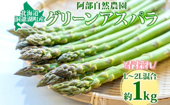 北海道 洞爺湖町産 グリーンアスパラ 約1kg L～2L混合 5月下旬頃お届け 2025 先行受付 路地 アスパラ アスパラガス 野菜 農作物 サラダ 天ぷら 新鮮 国産 人気 お取寄せ 産地直送 冷蔵 洞爺湖 