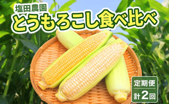 定期便 全2回 北海道産 朝採りとうもろこし 2種 食べ比べ 8月・9月 計2回お届け 恵味 めぐみ ゴールド ピュアホワイト トウモロコシ 先行受付 夏 野菜 新鮮 産地直送 塩田農園 送料無料 北海道 洞爺湖町 