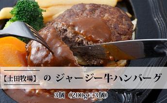 ジャージー牛使用！ ハンバーグ 3個（200g×3個） お肉 加工食品 惣菜 レトルト 