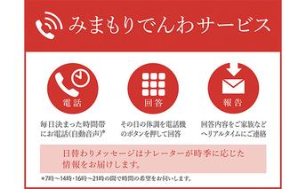 みまもりでんわサービス（携帯電話3か月） チケット 地域のお礼の品 カタログ 